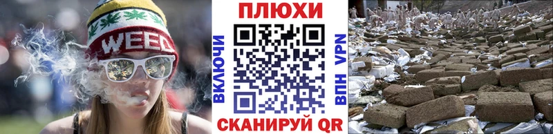 Гашиш Cannabis  Щёкино 