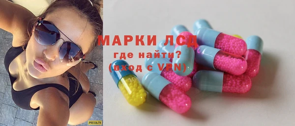 сатива Струнино