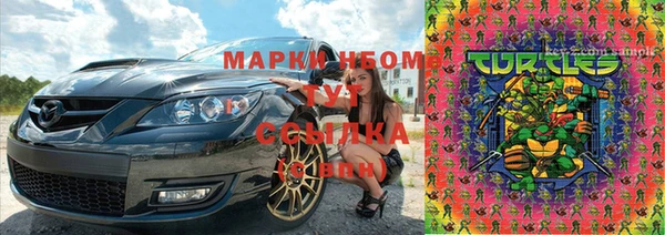 сатива Струнино