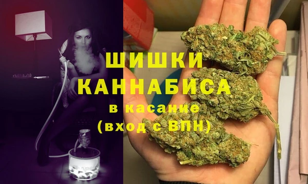 сатива Струнино