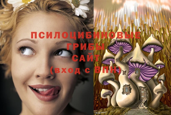 сатива Струнино